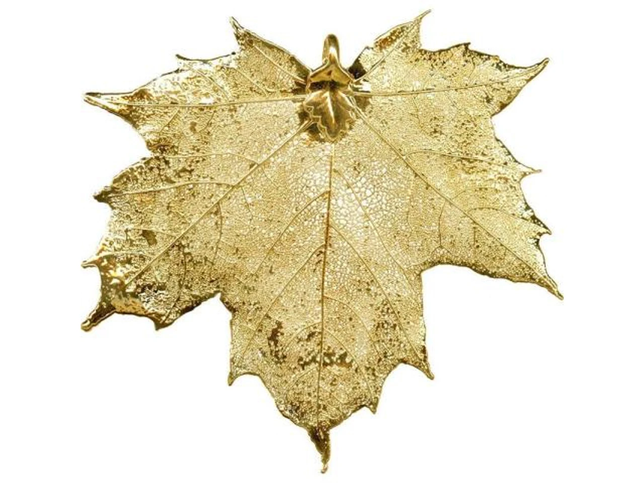Gold Plated Pendant, Plated Leaf, Sugar Maple (Each) 1 Gold Plated Pendant, Plated Leaf, Sugar Maple (Each)