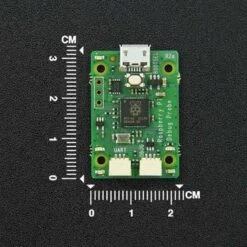 Raspberry shop -Raspberry shop FIT0933 datail 001 564x376